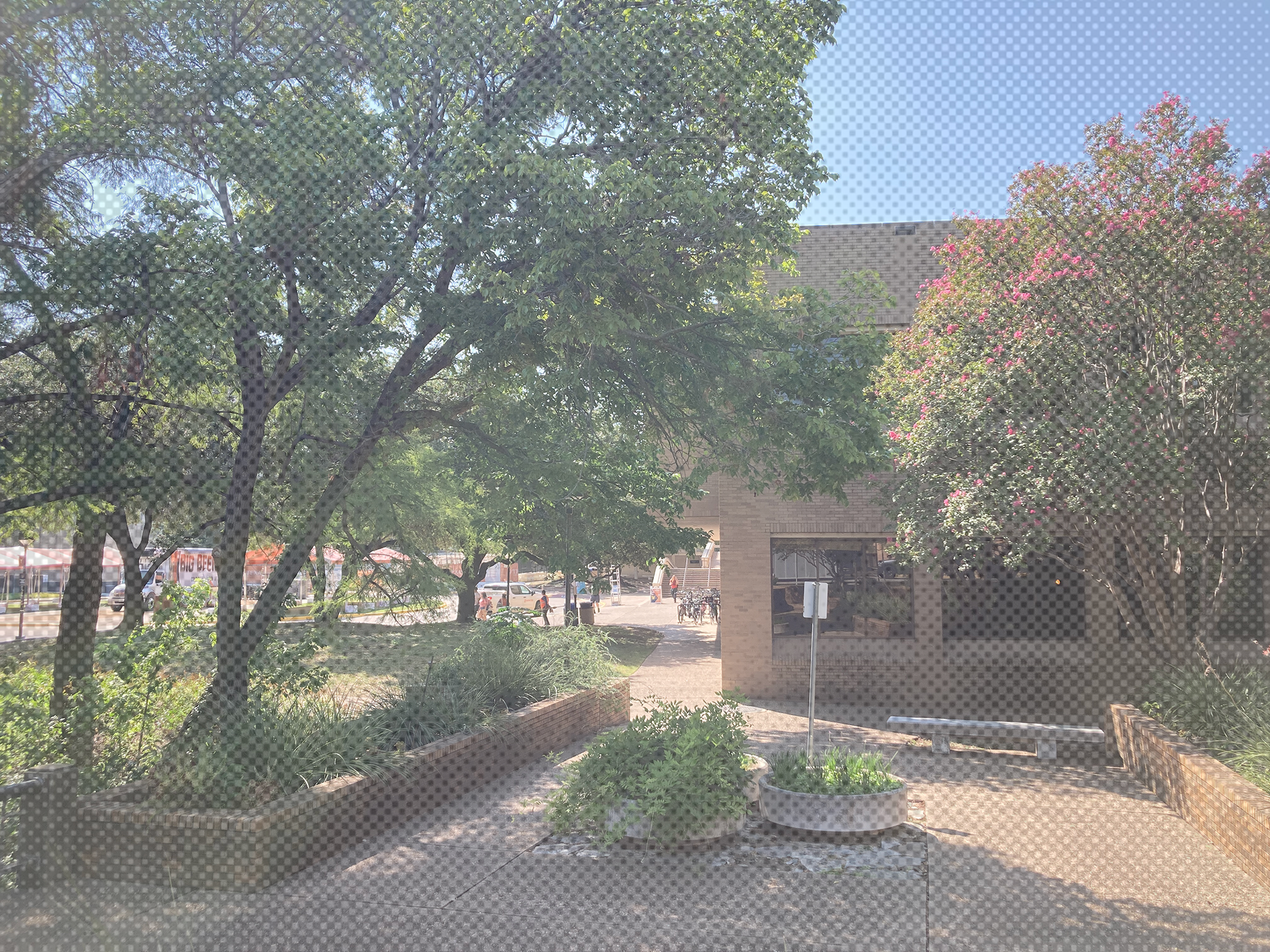 A zoomed out picture of the creekside area